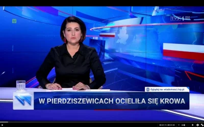 jaroty - #tvpis przez najbliższe 24 godziny ( ͡° ͜ʖ ͡°). #heheszki