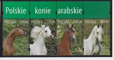 m.....3 - Polskie konie arabskie.

Emisja znaczków Poczty Polskiej z 2007r.

Znaczki ...
