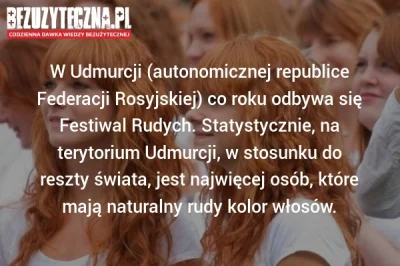 p.....z - #rudzi #bekazrudych #krul


 Wszyscy wiemy co to jest, jaka b---a tam jest ...