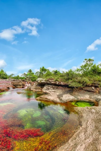 yosoymateoelfeo - Un artículo sobre un río colombiano de varios colores.

http://ww...
