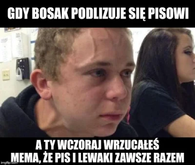 anallizator - #konfederacja #humorobrazkowy #polityka #pis #bekazpisu #heheszki #4kon...