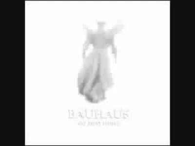 PowaznyPaczek - Bauhaus - Adrenalin

#postpunk #bauhaus #paczkowanie