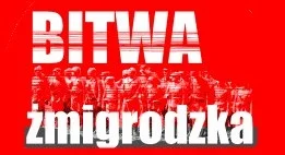 zmigrod - 2. Bitwa Żmigrodzka już w czerwcu #rekonstrukcjehistoryczne http://www.zmig...