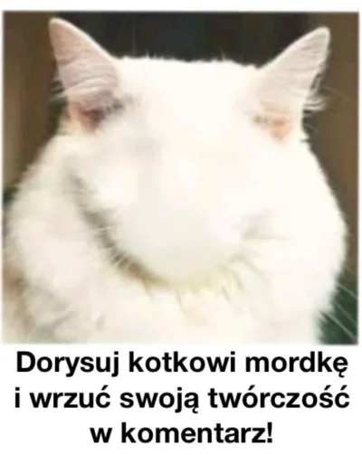 MilowyLas - #kitku #koty #smiesznypiesek #glupiewykopowezabawy