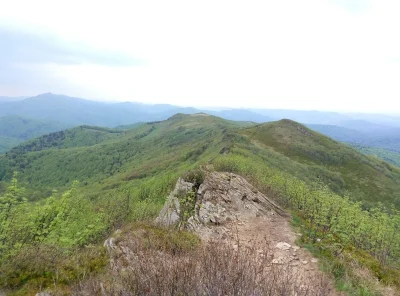 Honolulu - Mirki, jest życie po piwnicy! 
Polecam ten stan. 
#bieszczady #muczne #buk...