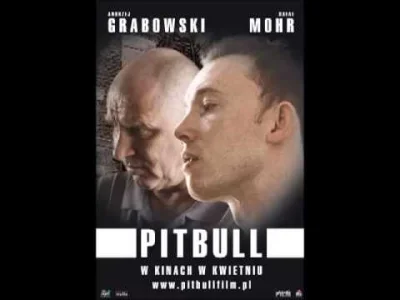S.....e - @k8m8: "Kazik - Pitbull" z filmu o tym samym tytule