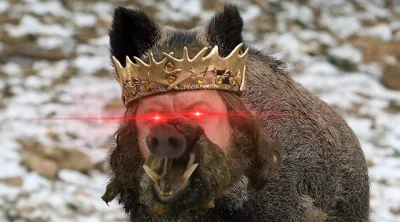 JasiuPierwszyIOstatni - BACK THEN YOU WERENT A MAN UNTIL YOU FUCKED EVERY BOAR IN THE...