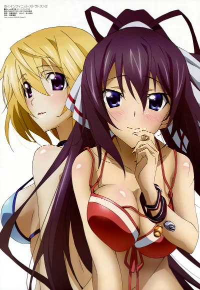 odglosy_bebnow - #anime #randomanimeshit #oppai #infinitestratos #charlottedunois #ho...