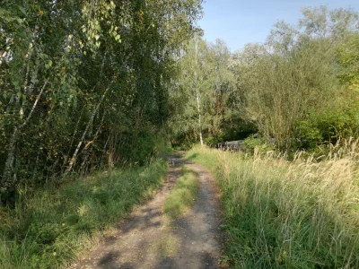 Trzesidzida - Lubię atmosferę późnego lata/wczesnej jesieni, gdy drzewa powoli zaczyn...