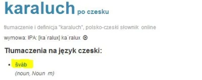 KawalerPowiatowy - Chciałbym powiedzieć przed snem, że Czesi mają poprawność politycz...