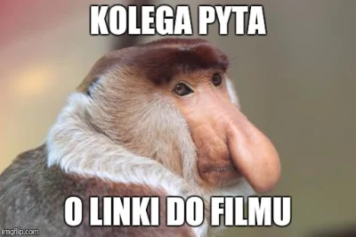 Ceglarek - #heheszki #polak