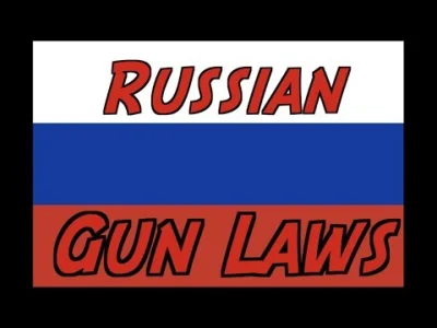 maniak713 - Gun Jesus przesł#!$%@? Ruskiego na temat przepisów o broni u cara Władymi...