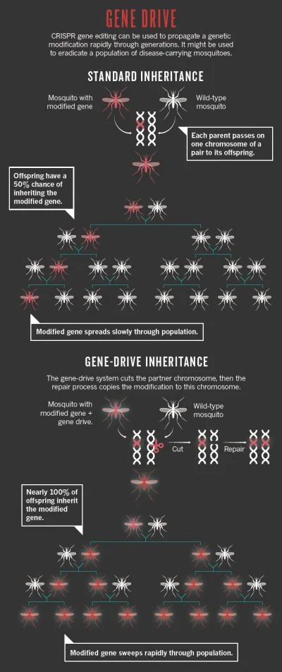 Jossarian - Już istnieje technologia oparta na inżynierii genetycznej zwana "gene dri...