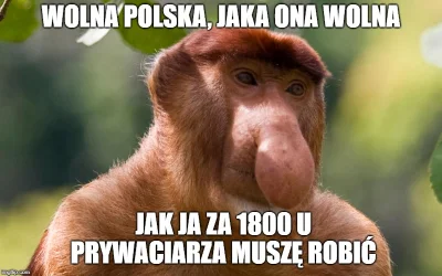 alpag - > wolna Polska to za dużo powiedziane

@tynonick: