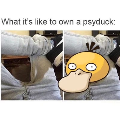 F.....a - @LongWayHome: Za mało pokemonów w tym wątku ( ಠ◡ಠ ) #psyduck