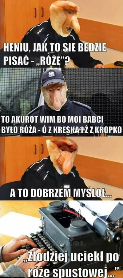 Radek41 - #grazynacora #policja #heheszki #humorobrazkowy #polak #nosaczsundajski