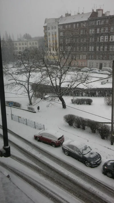 P.....z - Zima wróciła :D Pozdrowienia z Wrocławia 

#zima #Wroclaw #winteriscoming