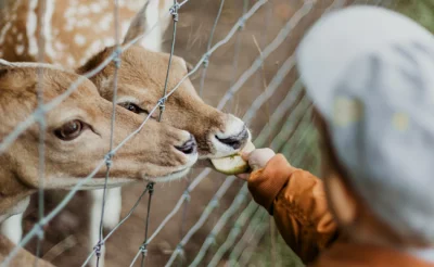 A.....a - > Masz jakieś argumenty

@ZOOlogiczna: Idź se posiedź w więzieniu, to moż...