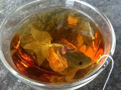 CoolHunters___PL - Torebki herbaty przypominające złotą rybkę
Całkiem ciekawa herbat...