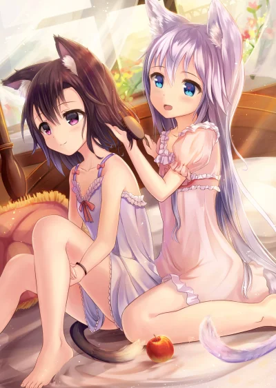 z.....s - #randomanimeshit #kemonomimi #neko #loli #lolizeliego
#sakuraani 
(｡◕‿‿◕｡...