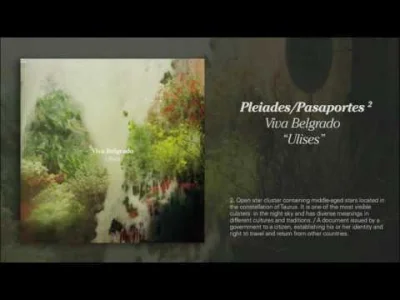 Please_Remember - Viva Belgrado - Pleiades/Pasaportes; #muzyka #screamo #posthardcore...