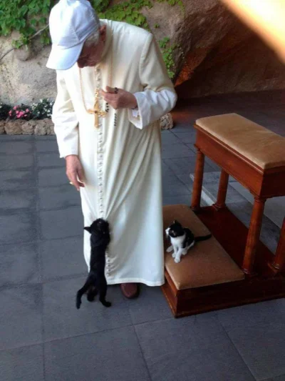 Szumo - Papież #Benedykt16 z różańcem i kotkami na #dziendobry ( ͡° ͜ʖ ͡°) Jak widać,...