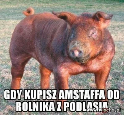 woland666 - #humorobrazkowy #heheszki #humor #podlasie #niewiemczybylo