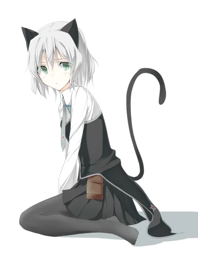 z.....s - #randomanimeshit #strikewitches #sanyavlitvyak #neko 

#umeoretto