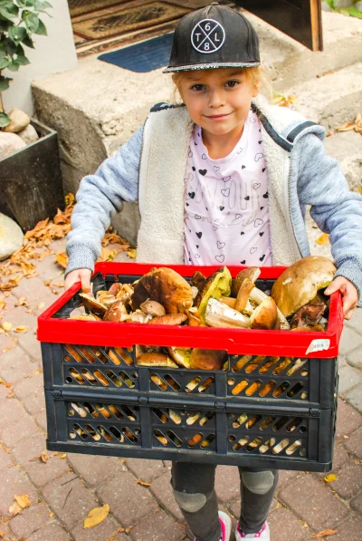 radek-oryszczyszyn - Moja siedmioletnia siostrzenica Ola jest fanatyczką grzybiarstwa...