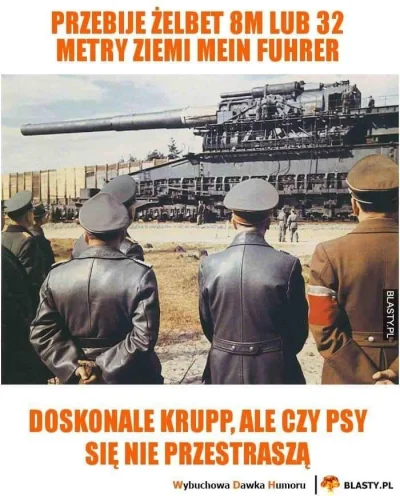 maxPL - #sylwester #heheszki #psy #sylwesterzwykopem #ocieplaniewizerunkuadolfahitler...