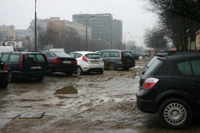 Brunner - To jest ciekawe... jak ktoś np. demoluje przystanek. To w odbiorze społeczn...