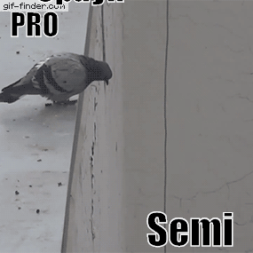 ACLeague - Pamiętajcie jutro o godzinie 21:00 kończymy prekwalifikacje.
Kręćcie lapy...