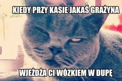 white_widow - #koty #humorobrazkowy #takbylo