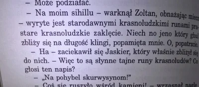 robvan - Ach ta subtelna magia krasnoludów :) #wiedzmin #sapkowski