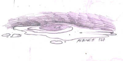 Albinea - #365czerwiec
157/365 konsystencja