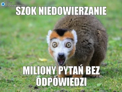 asdfghghjerthy345 - ale ten szok w tytule mogłeś sobie odpuścić ;)