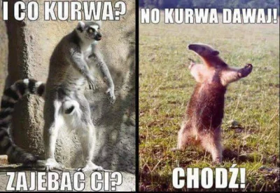 Gostas - #heheszki #humorobrazkowy