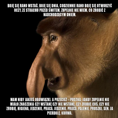 scratcher - #nosaczfeeldajski #nosaczsundajski