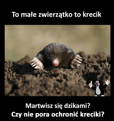 dejadeja - #polska #przyroda #heheszki #natura