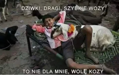 alittlegosu - ( ͡º ͜ʖ͡º)
#hehszki #humorobrazkowy #imigranci #kozaboners