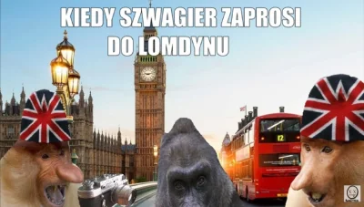 AsuriTeyze - #polak #londyn #heheszki #polacyzagranica