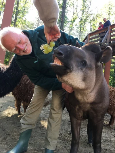 tata_agaty - #dziwnypanzestocku #smiesznypiesek