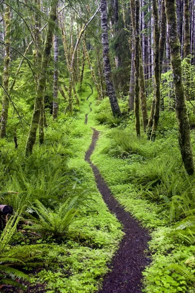 Mesk - Szlak turystyczny w stanie Washington #hiking #usa #earthporn #azylboners #fot...