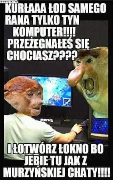 PawelW124 - #humor #heheszki #nosaczsundajski #nosacz #polak #memy
