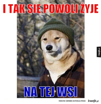 s.....e - @Rain_: Polish dogy style