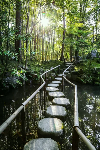 tomosano - #japonia #kioto droga do oświecenia 
#zen