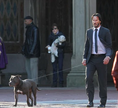 PuchatyOlaf - Keanu Reeves, pomiędzy nagraniami do "John Wick 2", wyprowadza na space...