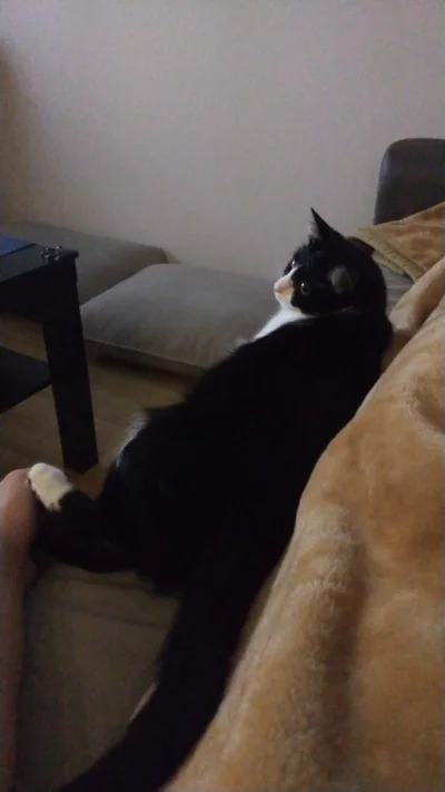 Blendi - @szaldr: ( ͡°( ͡° ͜ʖ( ͡° ͜ʖ ͡°)ʖ ͡°) ͡°)