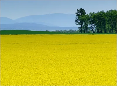 pawel_tarnobrzeg - Dolny Śląsk