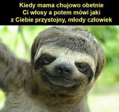 cviet - O #!$%@?... Skisłem sążnie... I fota tego skunksa pasuje idealnie ( ͡° ͜ʖ ͡°)...